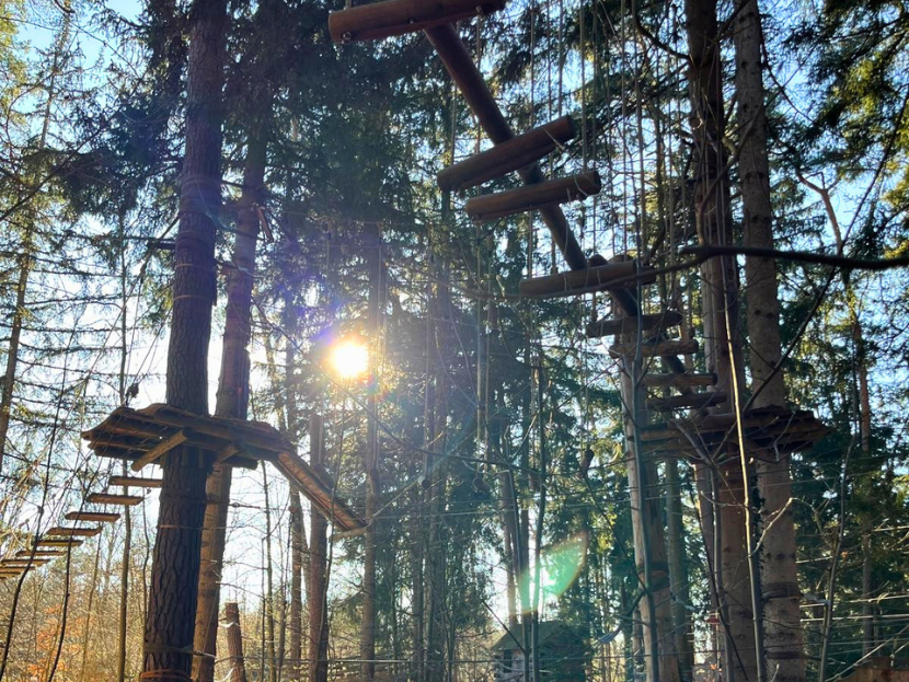 Im Kletterwald mit Parcours strahlt die Sonne, sie scheint zwischen den Bäumen durch. Der Himmel ist strahlend blau.